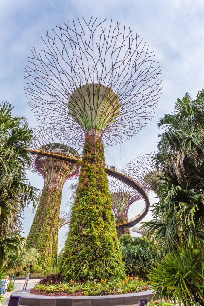 SINGAPORE - NOVEMBER 19, 2016: Supertrees at Gardens by the Bay. Close up Aerial view of the botanical garden most popular for tourist in Singapore.